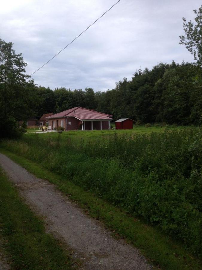 Ferienhaus Am Paradies Neuschoo Εξωτερικό φωτογραφία